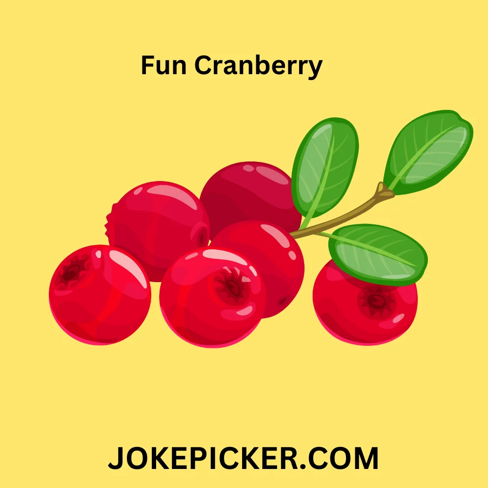 Fun Cranberry