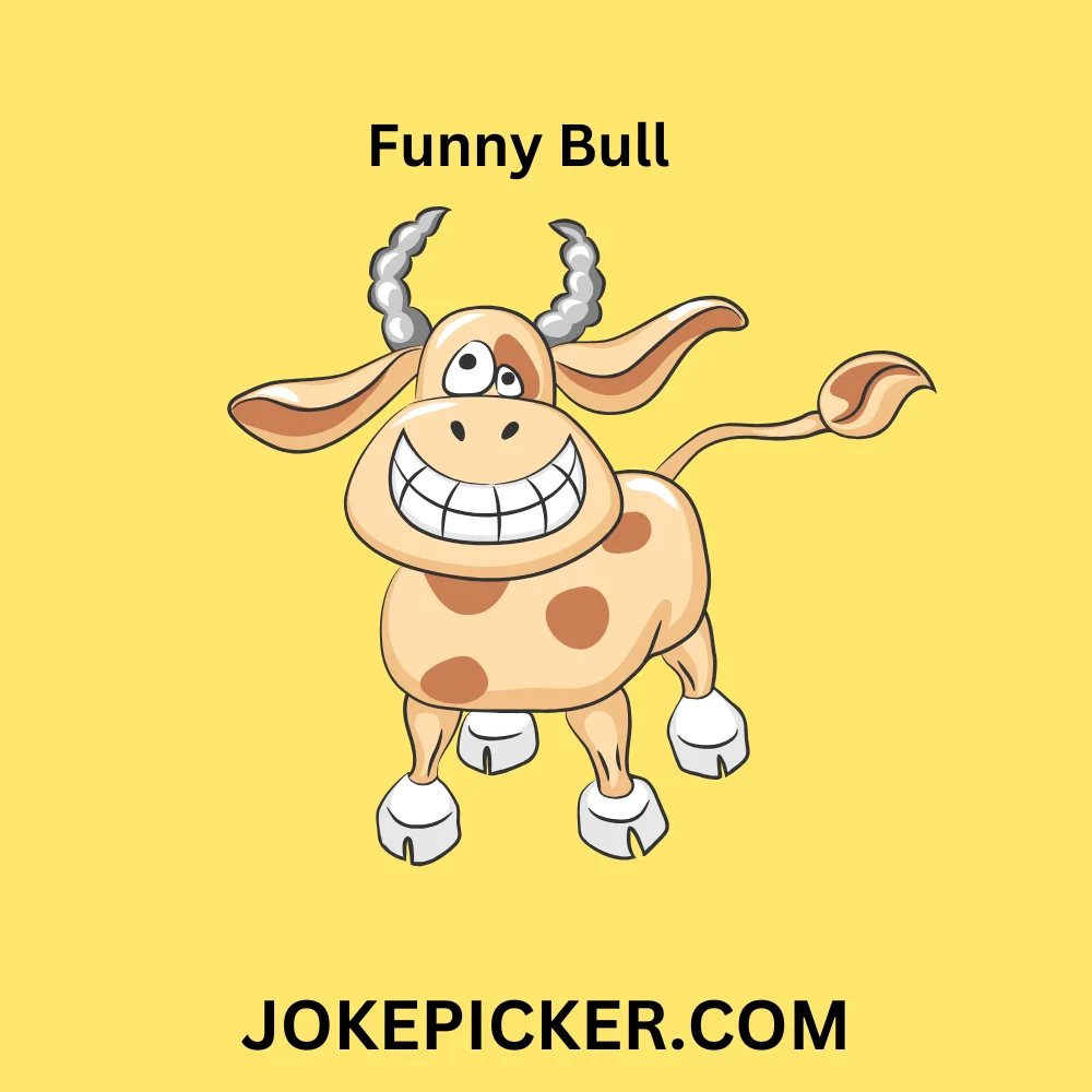 Funny Bull