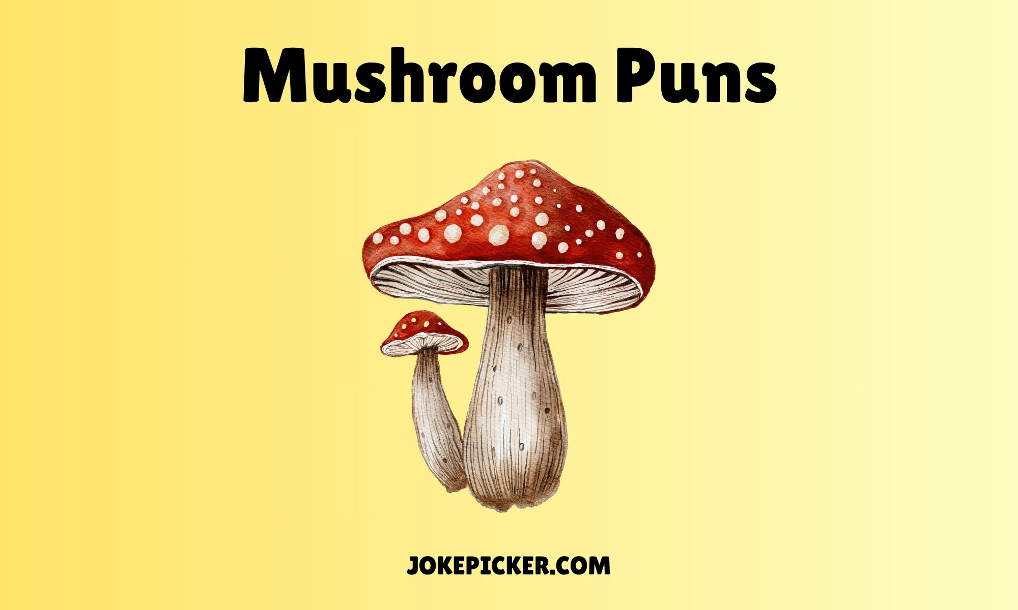 Mushroom Puns