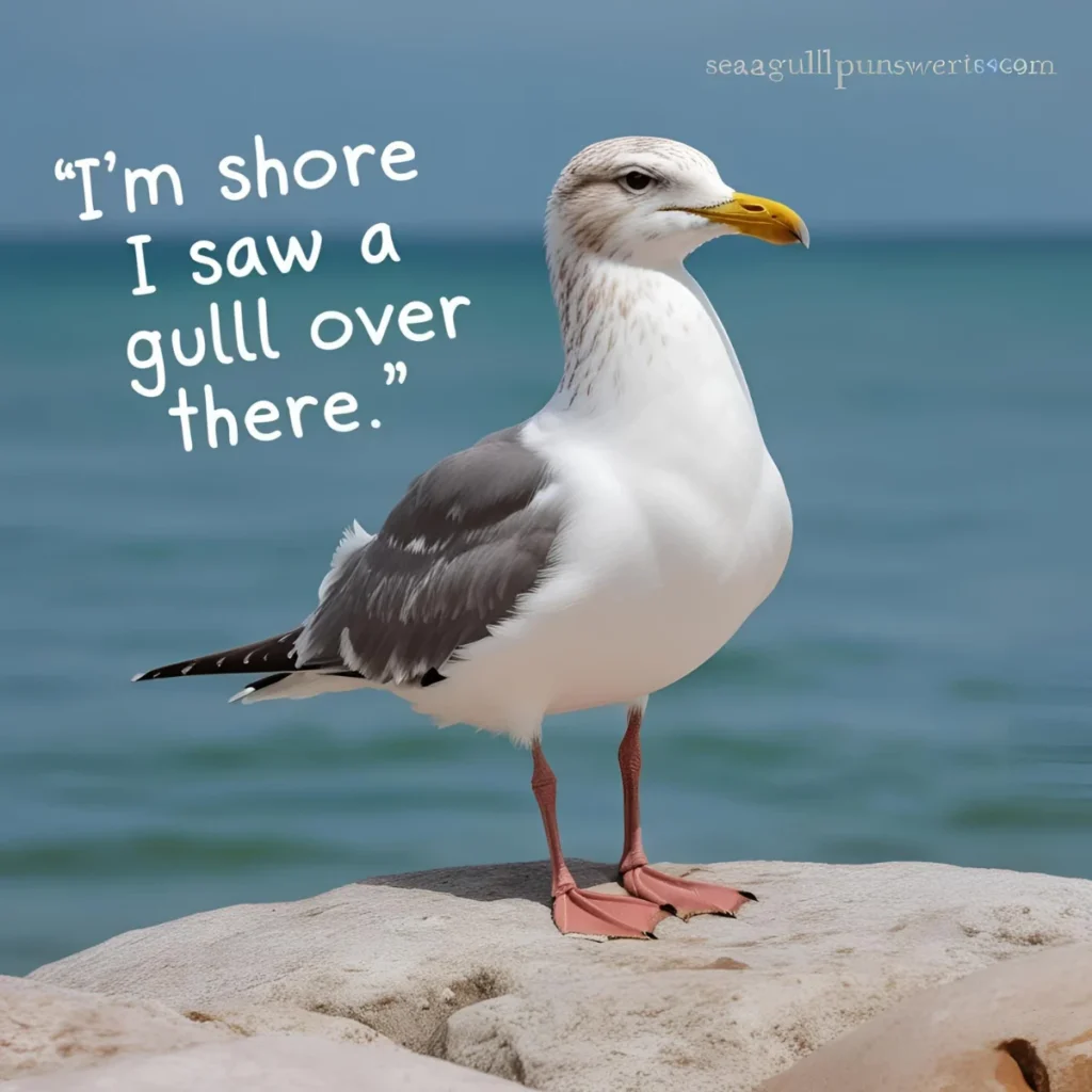 Seagull Puns
