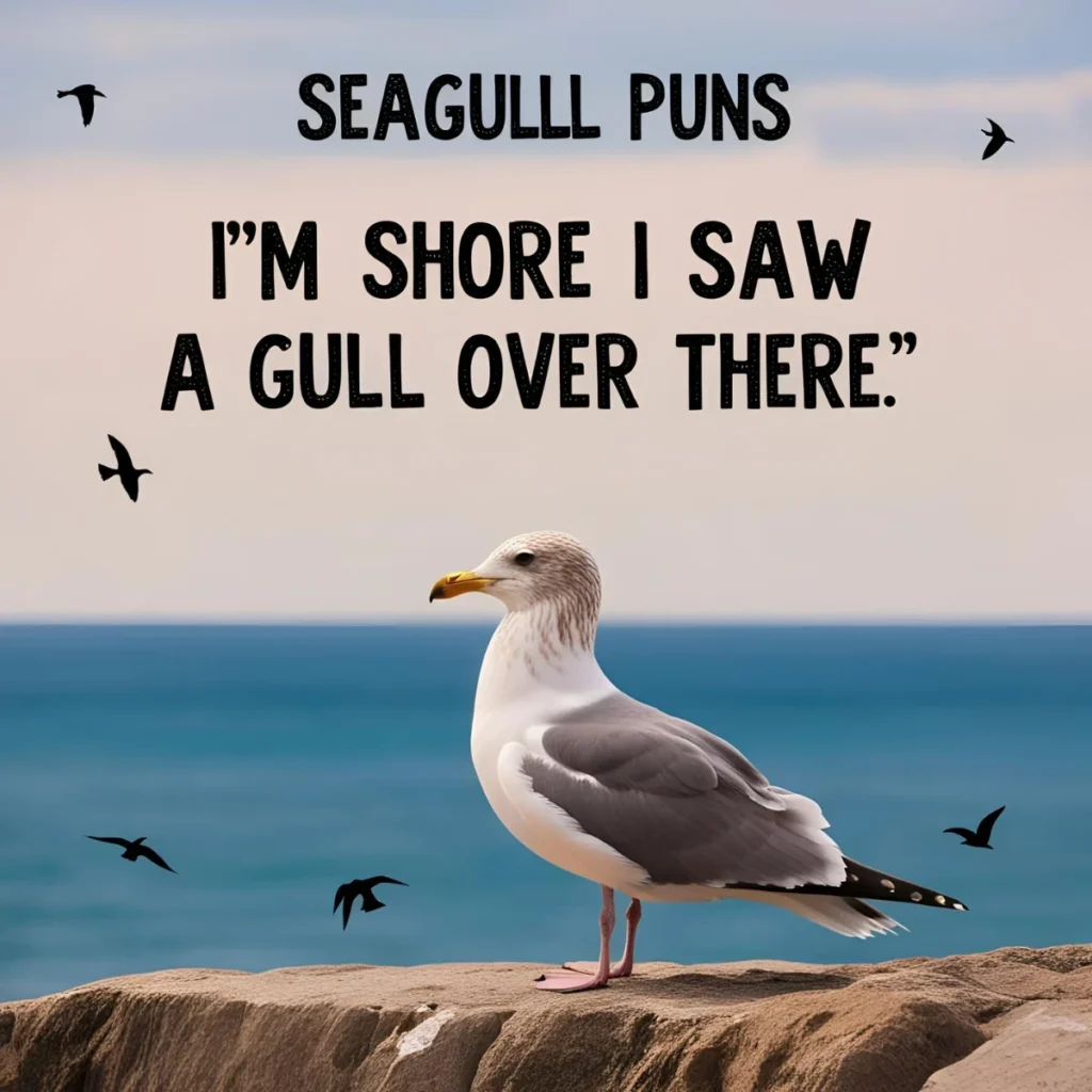 Seagull Puns