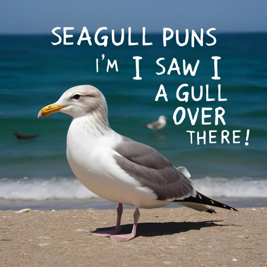 Seagull Puns