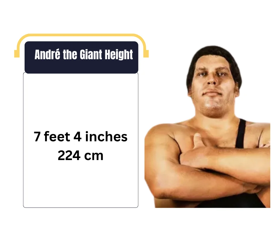 André the Giant Height