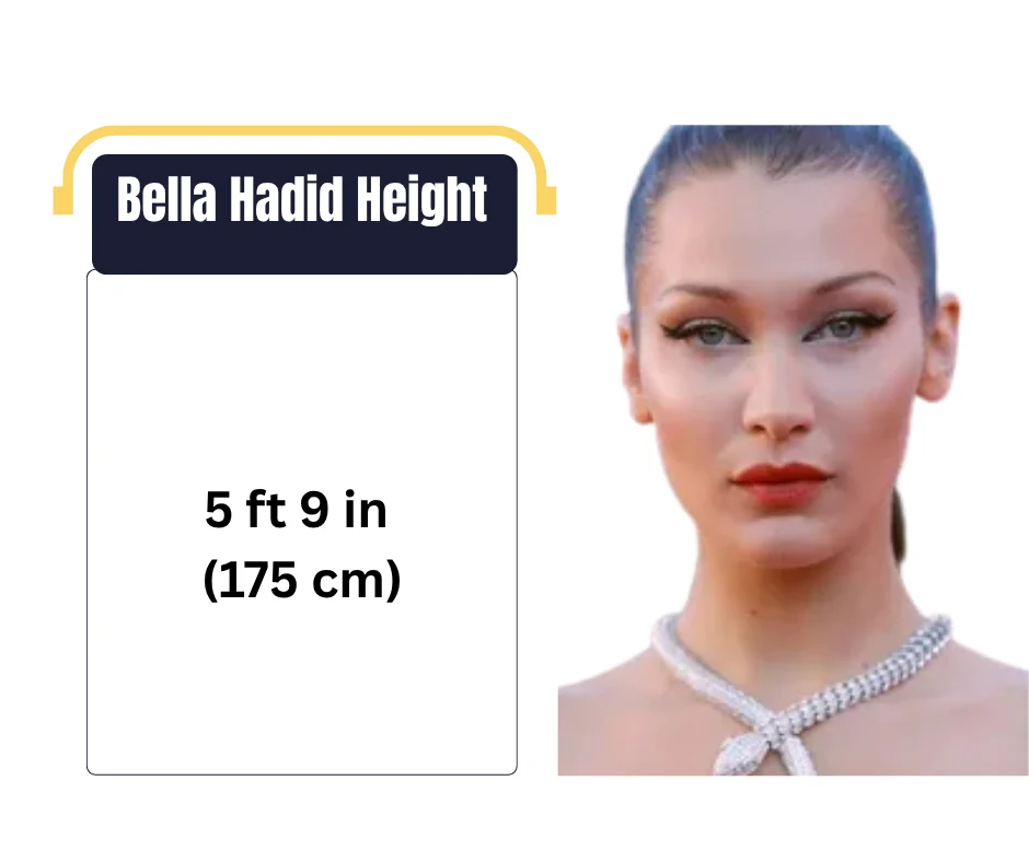 Bella Hadid Height
