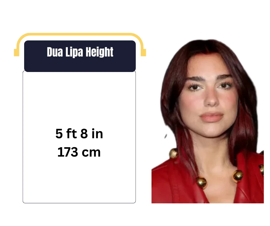 Dua Lipa Height
