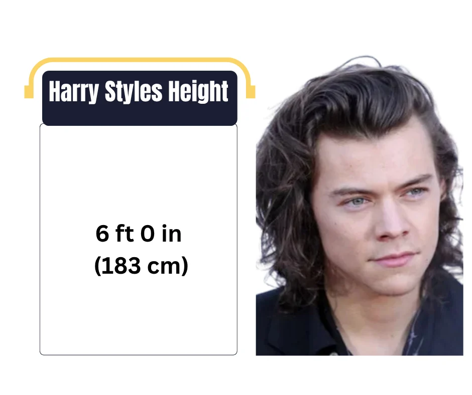 Harry Styles Height