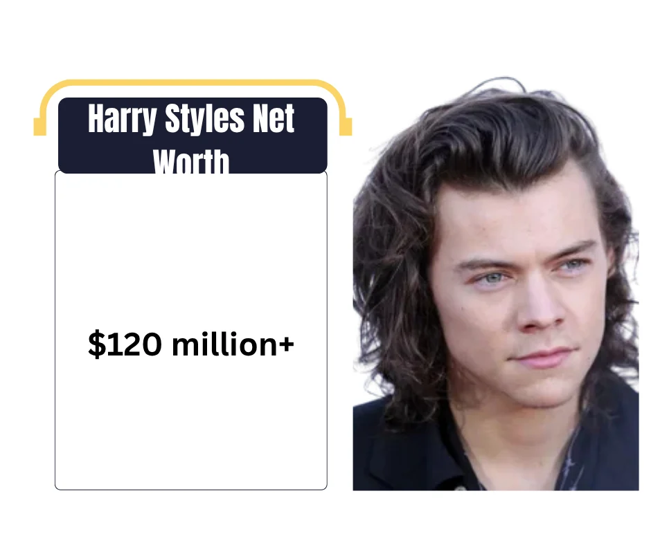 Harry Styles Net Worth