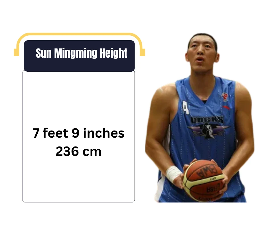 Sun Mingming Height