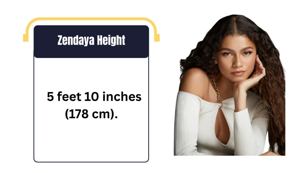 Zendaya Height